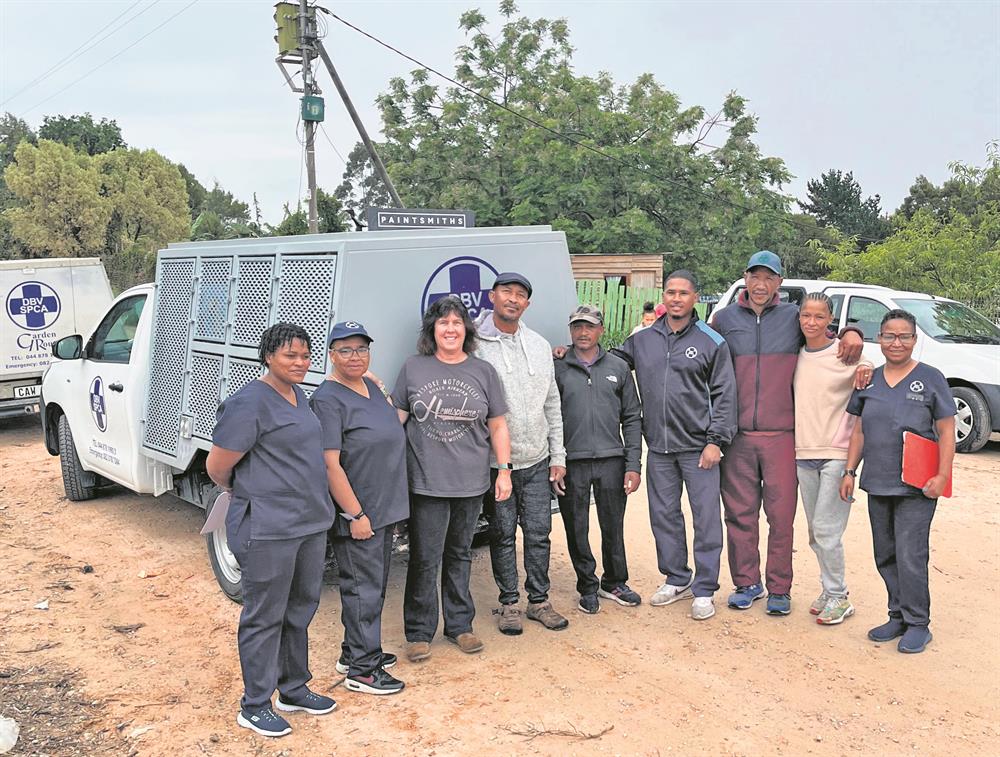 Wilderness dogs get sterilised