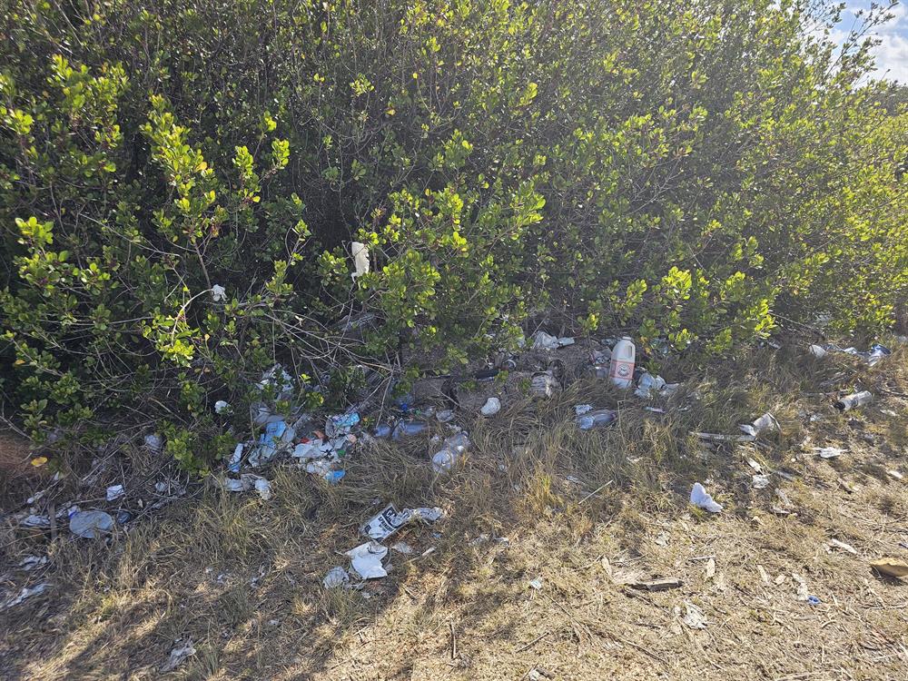 Heroldsbaai se natuurerfenis bewaar vir nageslag