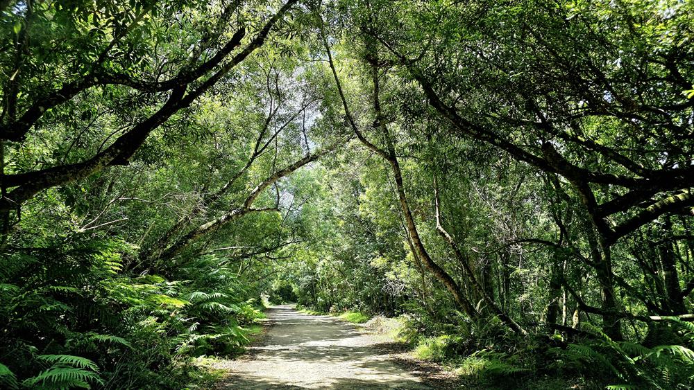 Summer time in the Garden Route