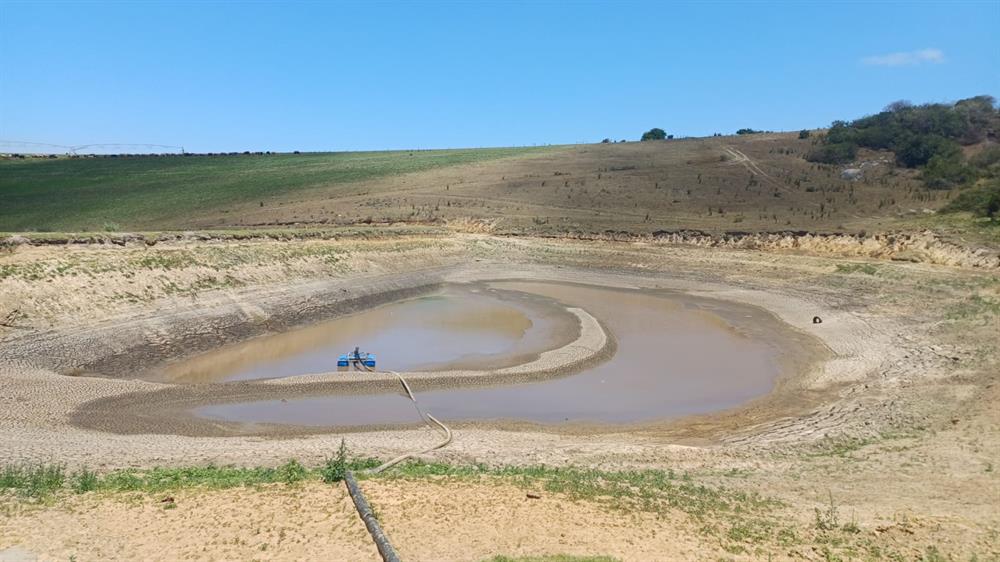Droogte knyp George se boere
