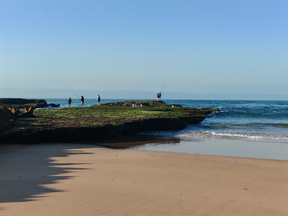 Summer time in the Garden Route