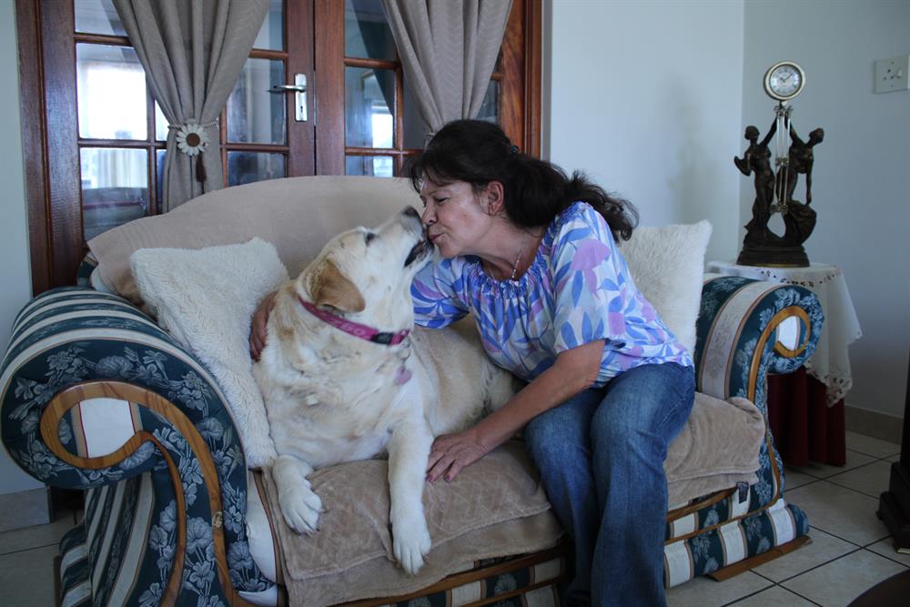 Mischa die labrador kry ’n soen van sy ma.