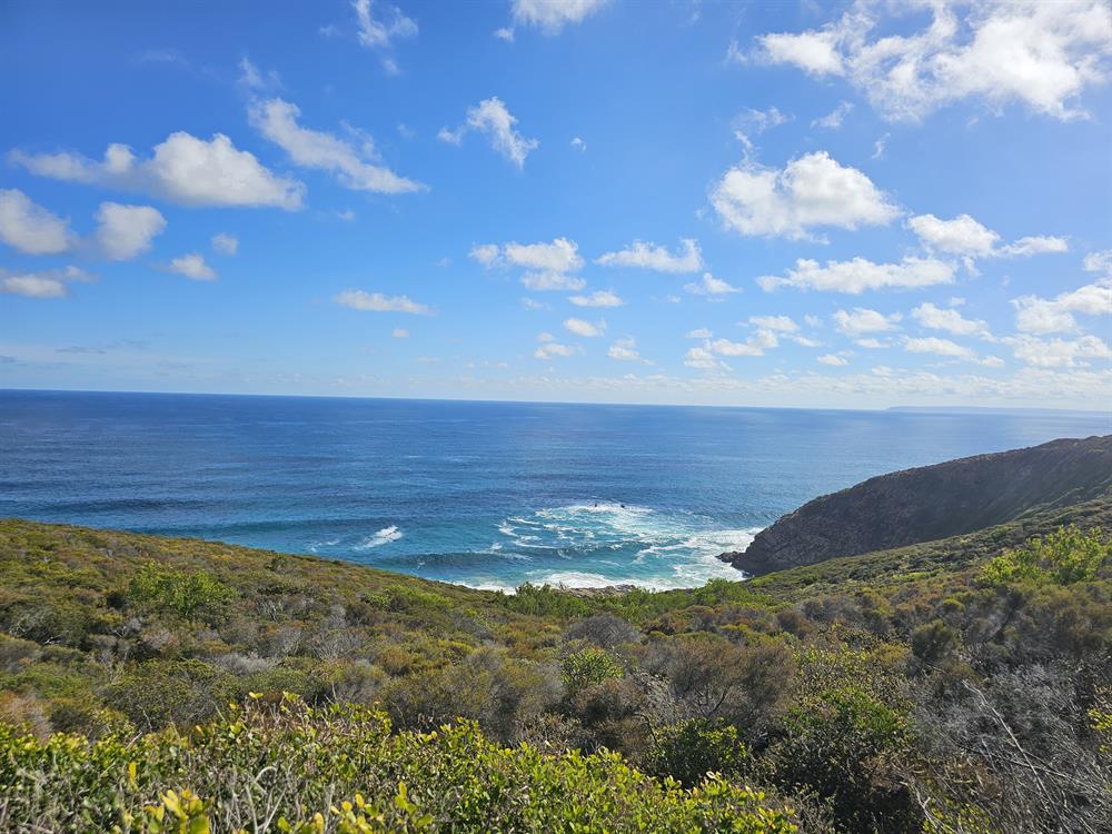 Heroldsbaai se natuurerfenis bewaar vir nageslag