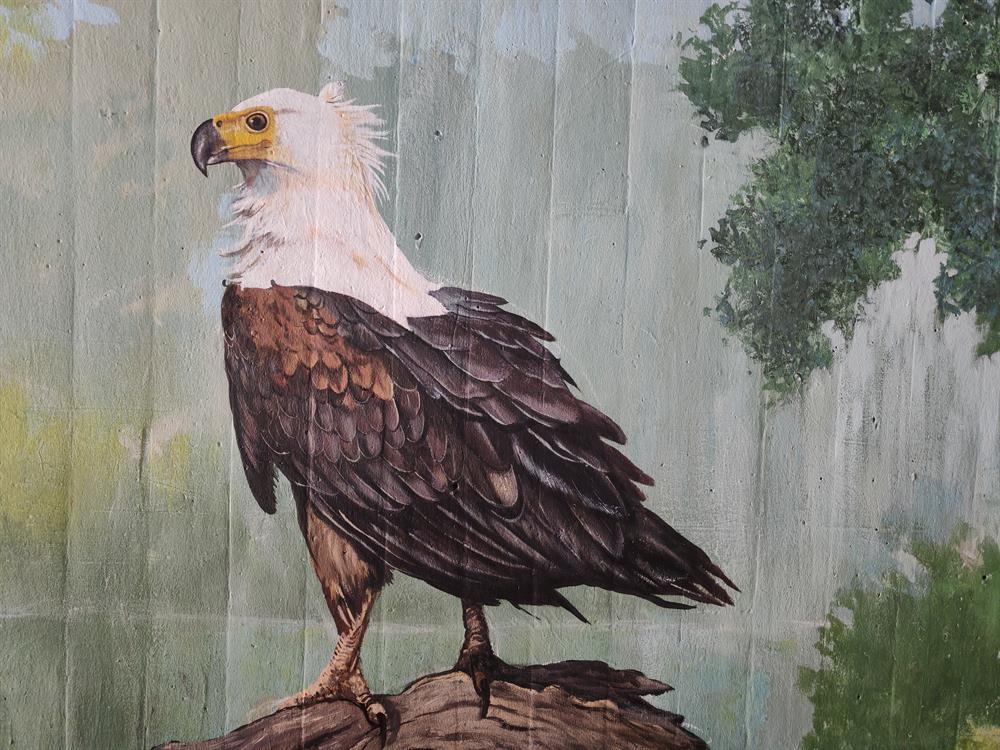 Muurskilderye gee Wildernis 'n kreatiewe hupstoot